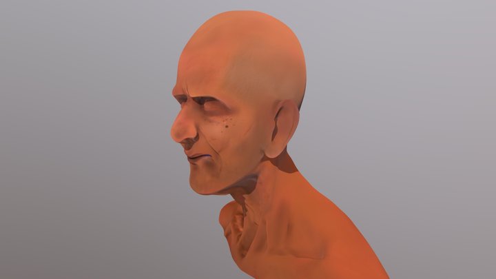 The Old Man 3D Model