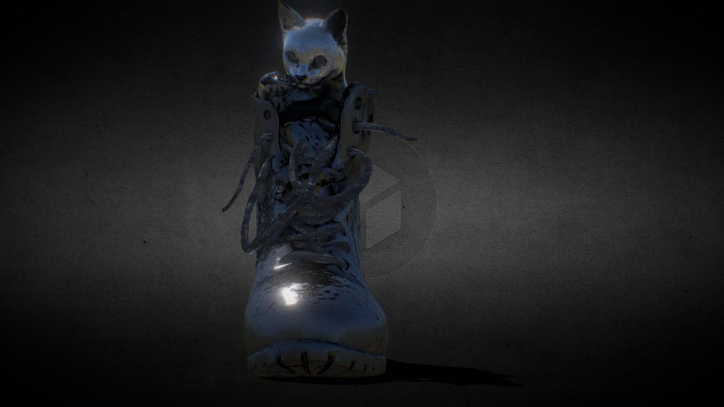 A Kitten in a boot