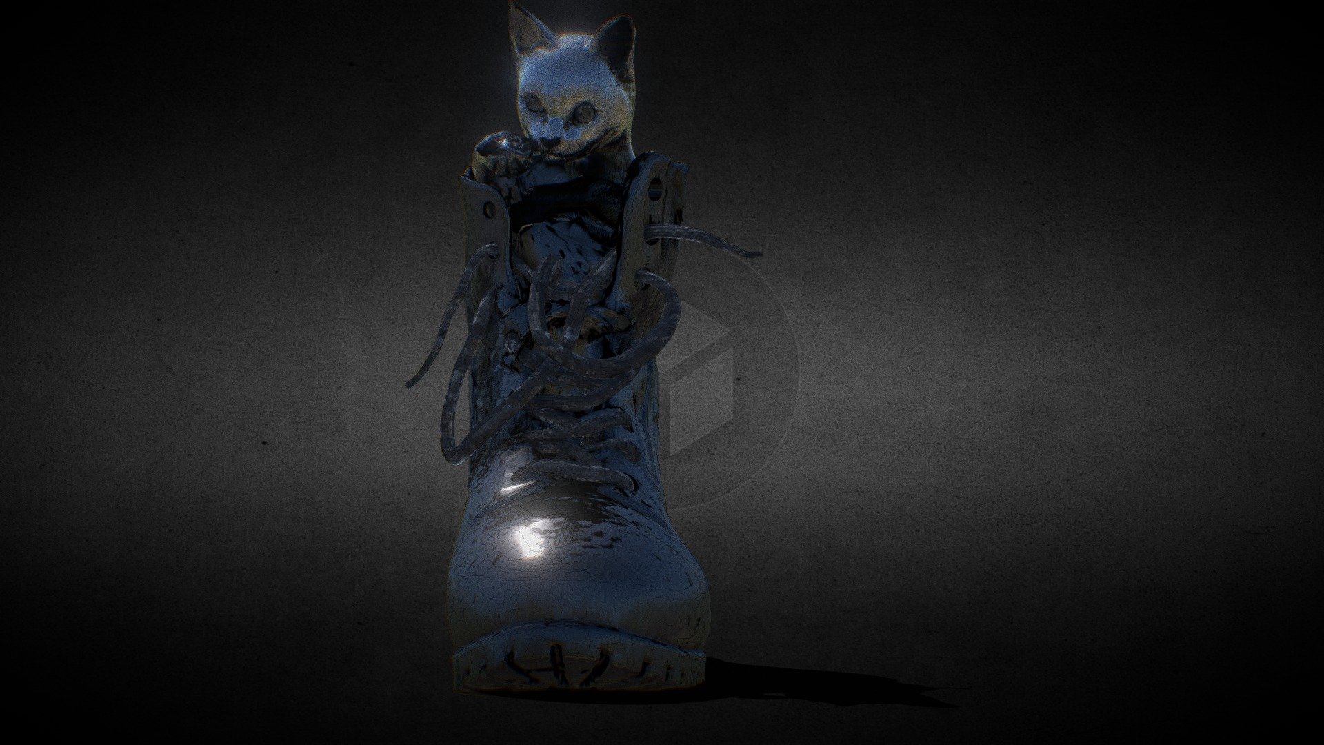A Kitten in a boot