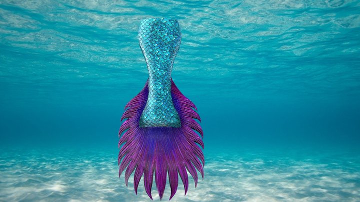 Mermaid Tail 3D Model