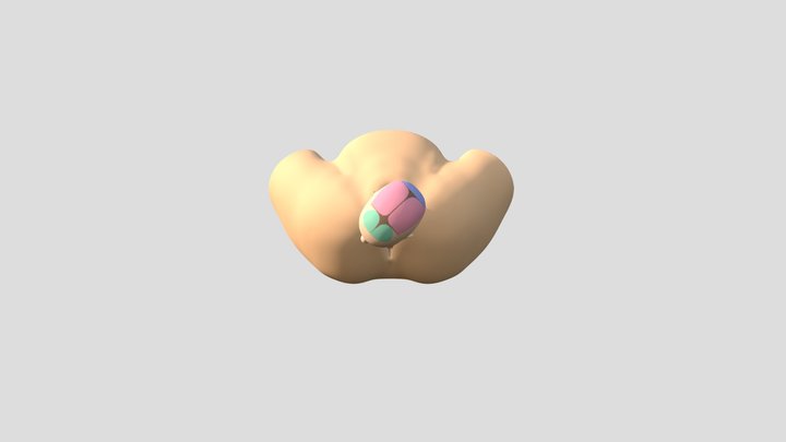 6. Restitution 3D Model
