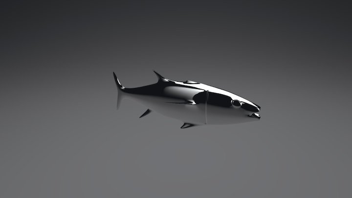 poisson_pion 3D Model