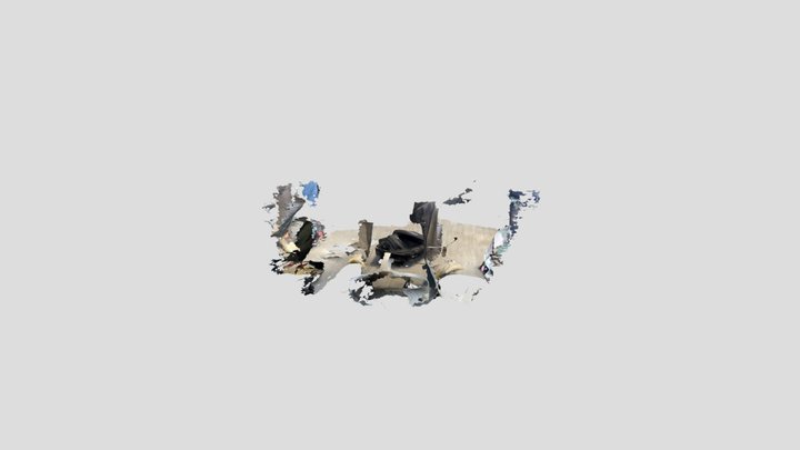 Untitled Scan 3D Model