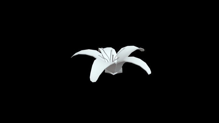 Lily Flower 3D Model