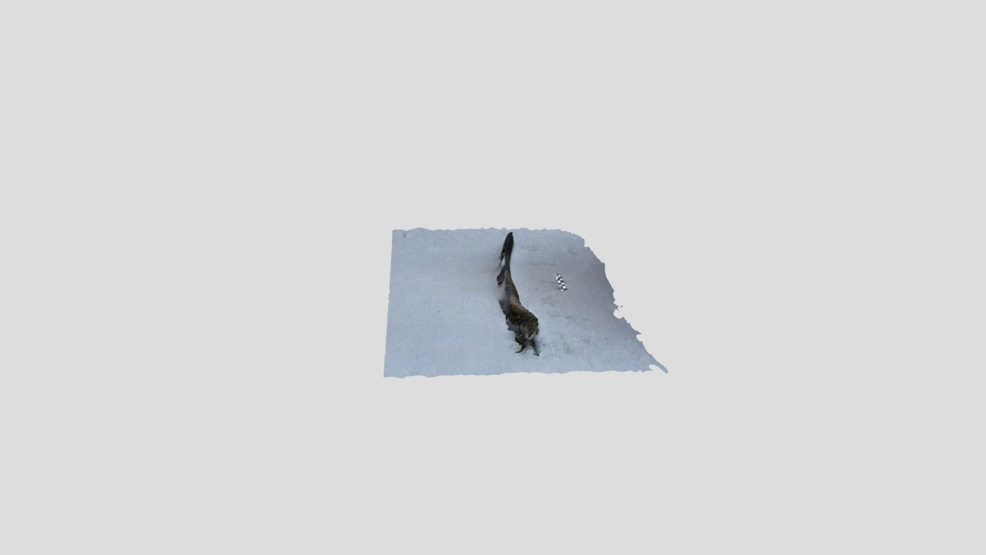 Polycam capture