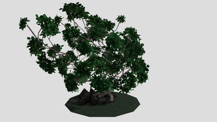 Plant 3D Model