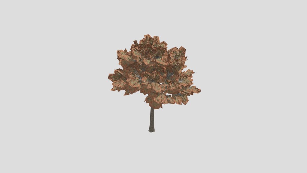 Tree Siberian Elm B1