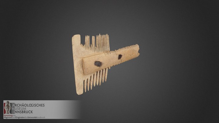 Fragment eines Dreilagenkamms (II 0217) 3D Model