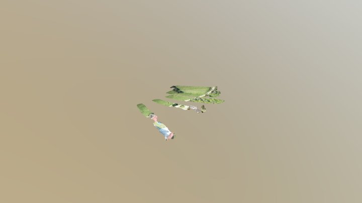 Prueba Tuffwing Chile 3D Model