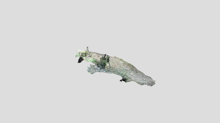 Upper Basildon Quad Badger Sett Edited – Modello 3D gratuito STL