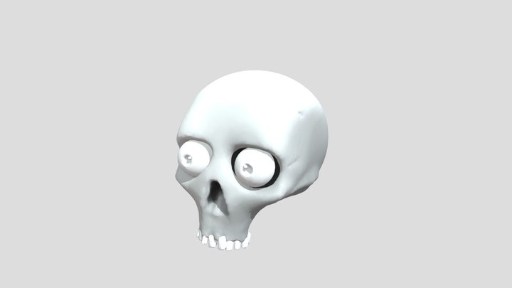 skull 3D Model