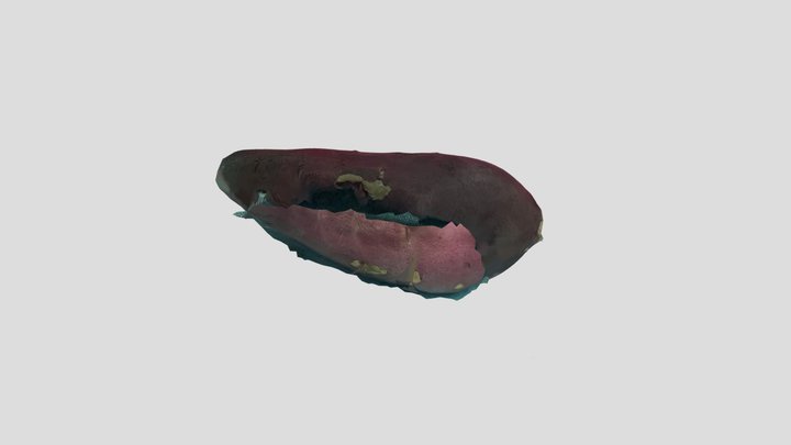 私の素晴らしい 3Dモデル 3D Model