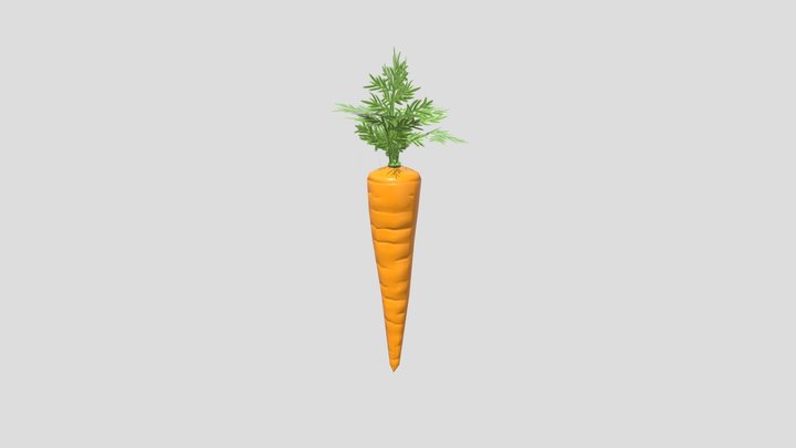 Carrot 3D Model