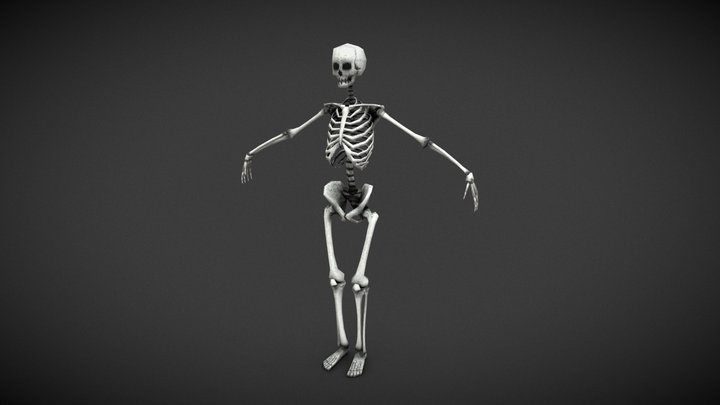 Low-poly skeleton 3D Model