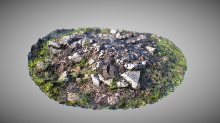 Rock Debris 1 3D Model