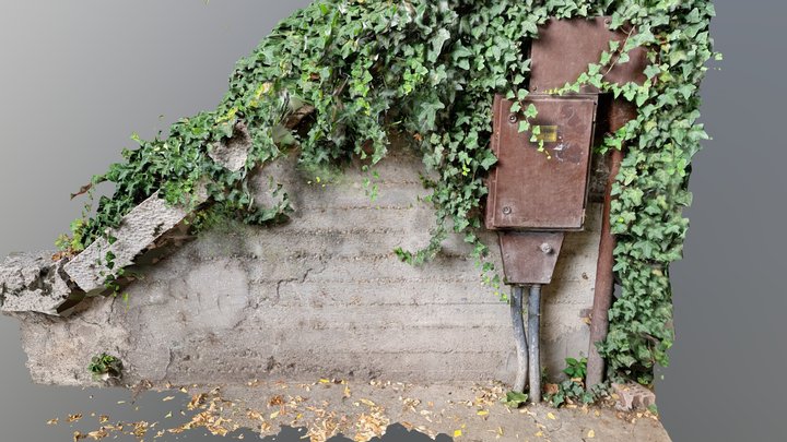 Rusty old switch cabinet grown in ivy 3D Model