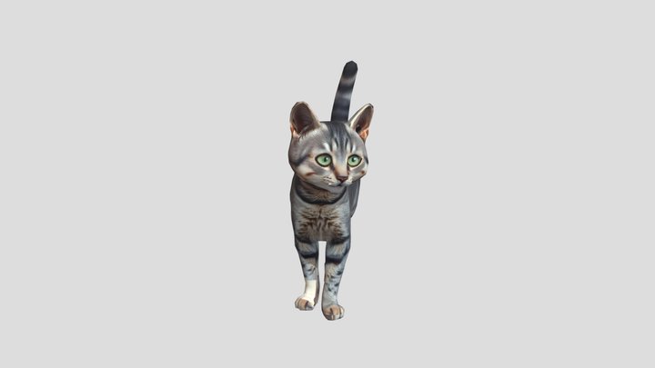 Cat Standing_gray_short_DMGCA_textured_obj – Kostenloses 3D-Modell STL