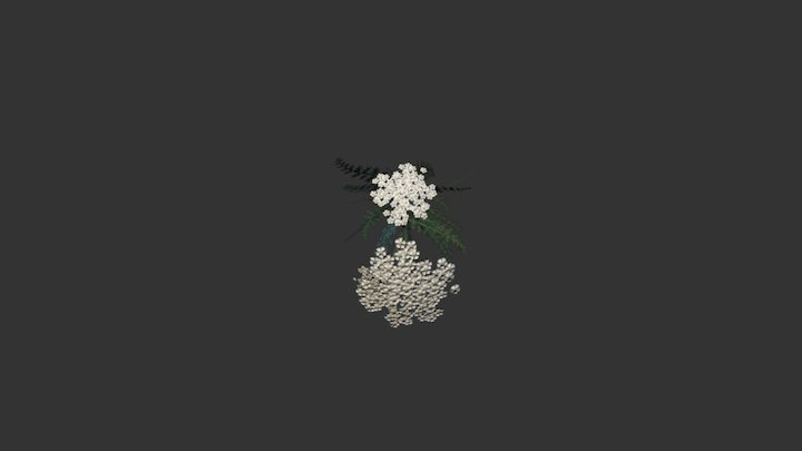 Yarrow 3D Model