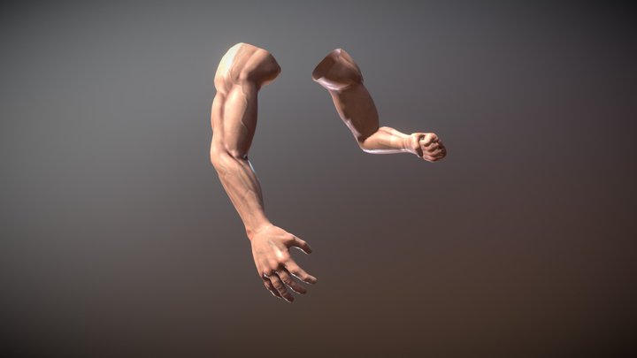 First Person Arms 3D Model