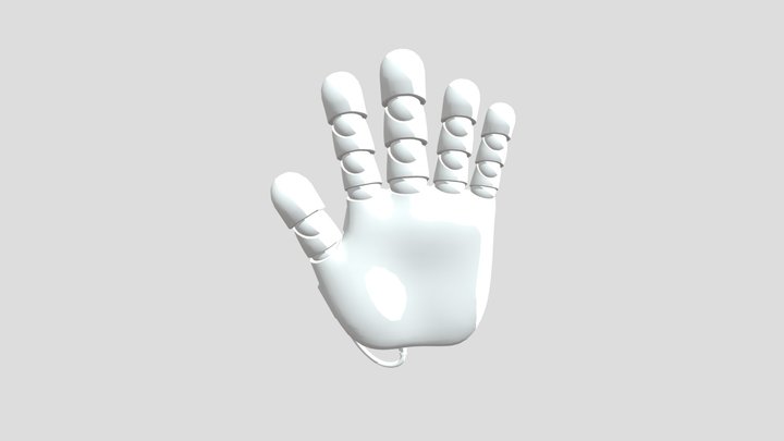 Omni Hand 3D Model