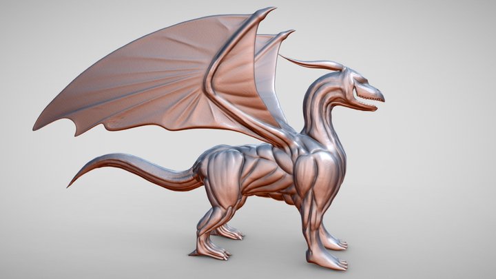 Dragón anatómico 3D Model