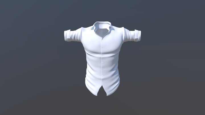 Casual Shirt 3D Model