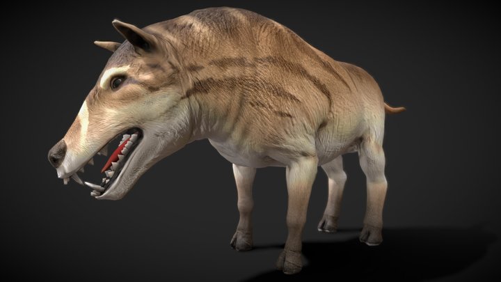 Entelodont: Swine of the Eocene 3D Model
