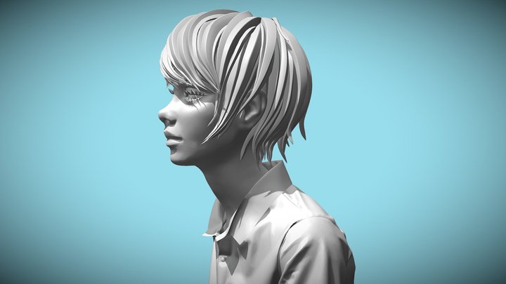 Study 3D Model
