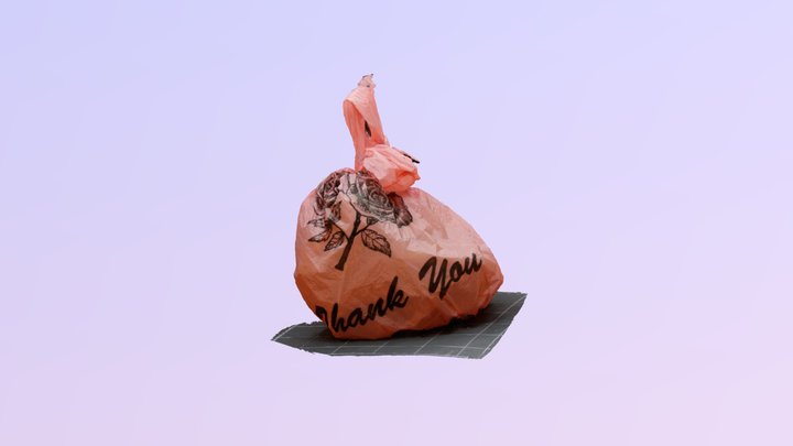 Thank You, Rose Bag 3D Model