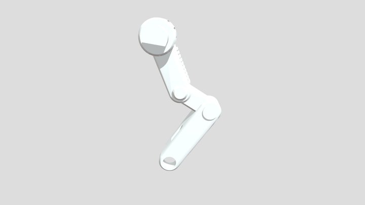 My model 3D Model