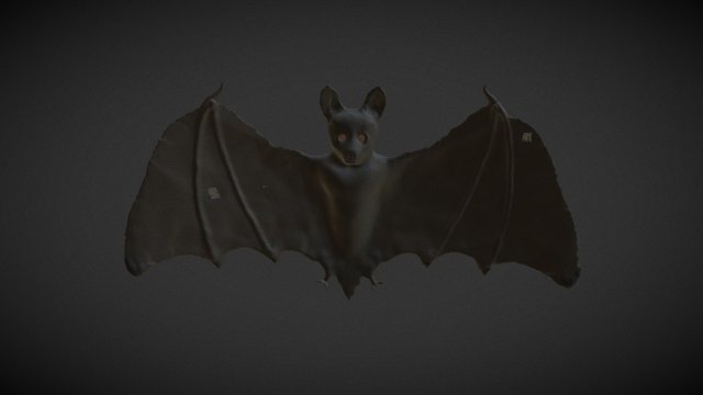 Bat 3D Model