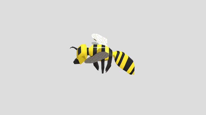 SM_INSECT 3D Model