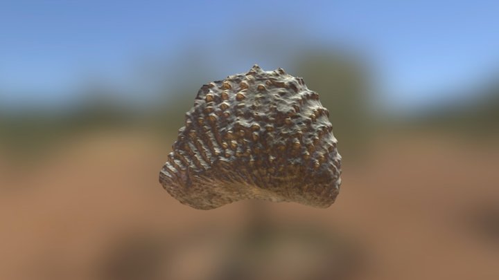 BEG 34109 3D Model