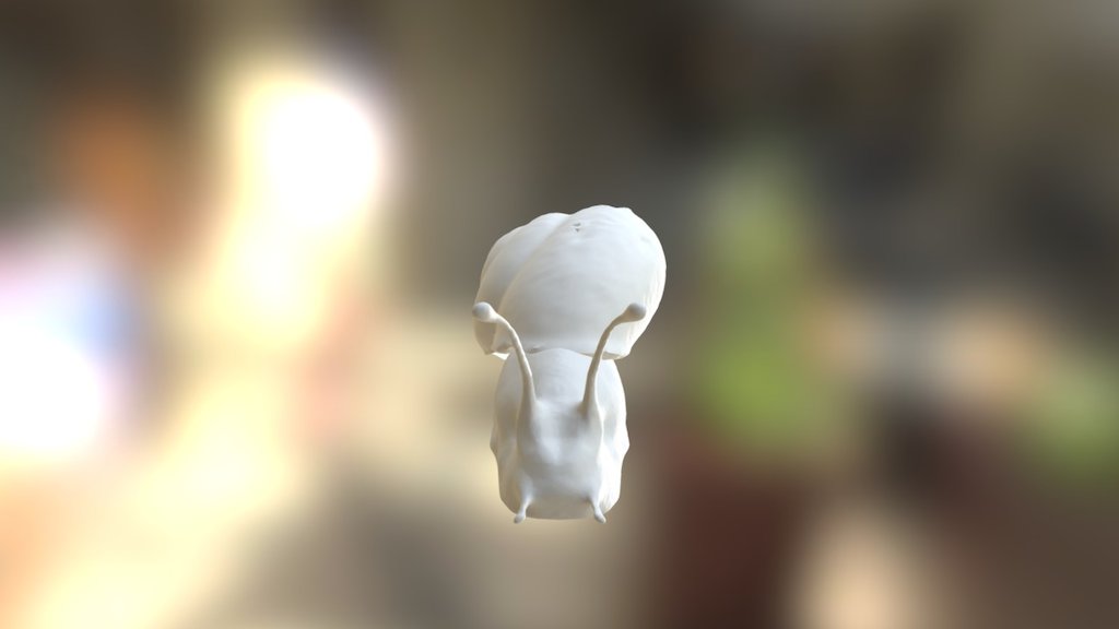 Snail First prev — Sketchfab embed 3D viewer