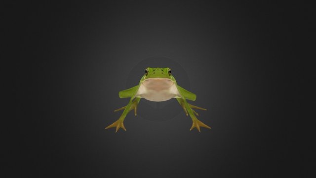 Frog_action 3D Model