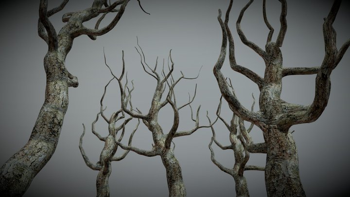 SWAMP TREES - WITH ANIMATION 3D Model
