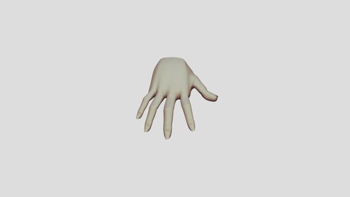 hand base mesh 3D Model