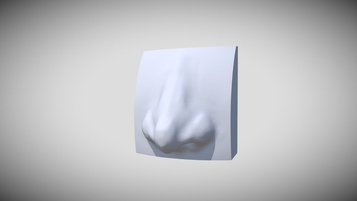 Nose Sculpt #3 3D Model