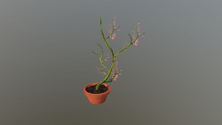 Plant 3D Model
