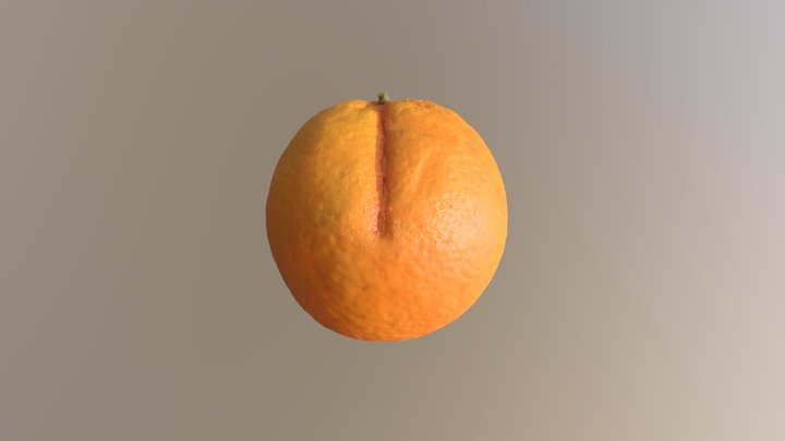 Orange_Skinbreak 3D Model