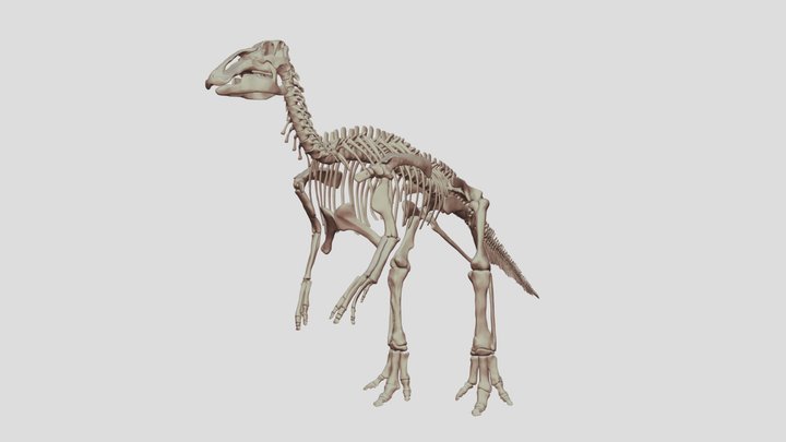 Edomontosaurus 3D Model