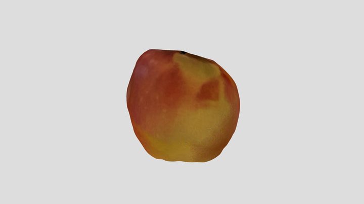 New Qlone 3D Model