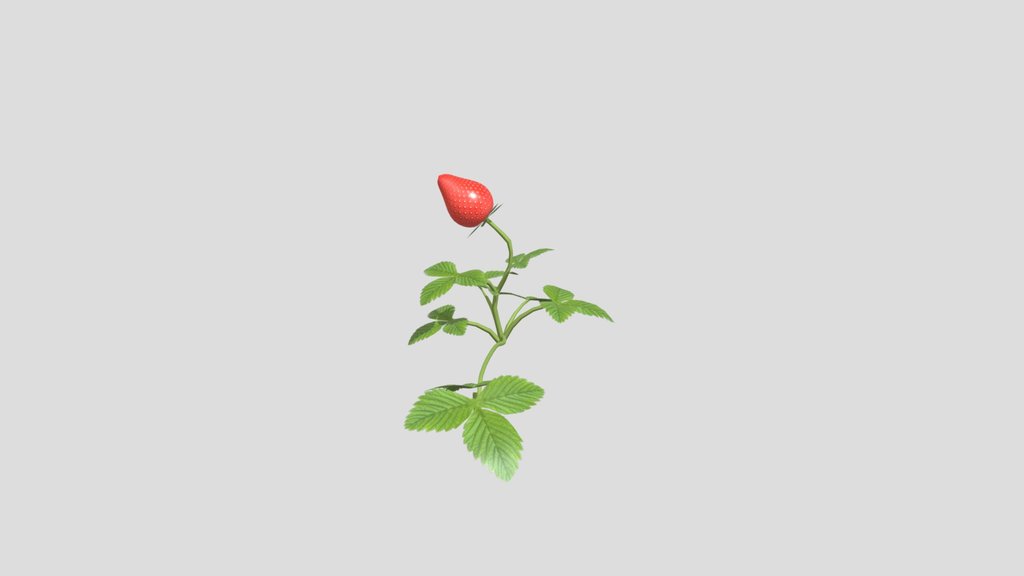 Strawberry