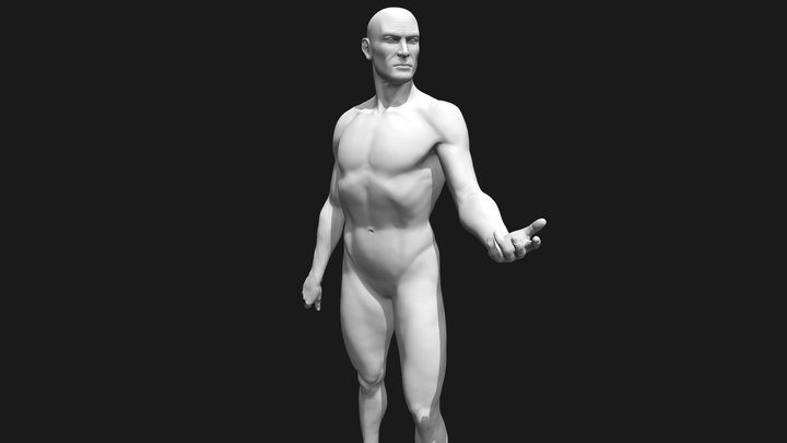 Posed Human Body 3D Model