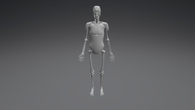Skeletor 3D Model