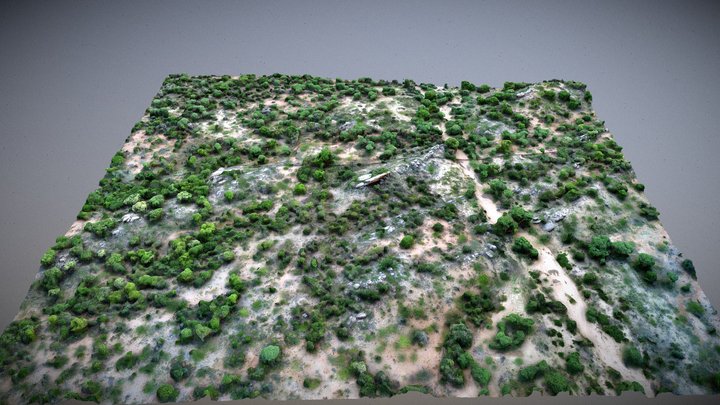 Inserção ambiental Sítio Arqueológico Roça Nova 3D Model