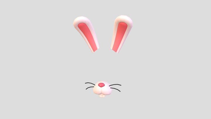 Rabbit Face 3D Model