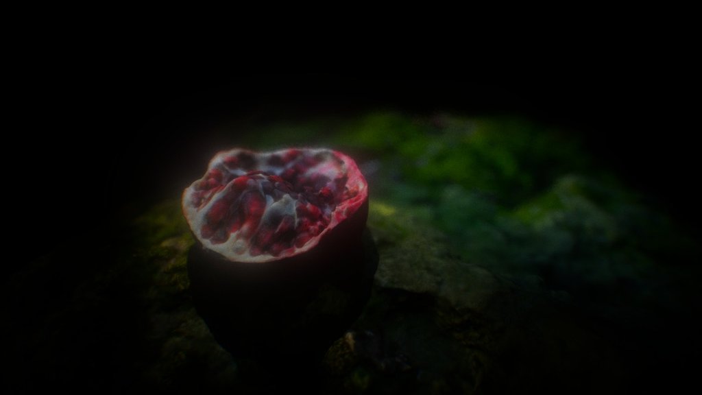 pomegranate on rock