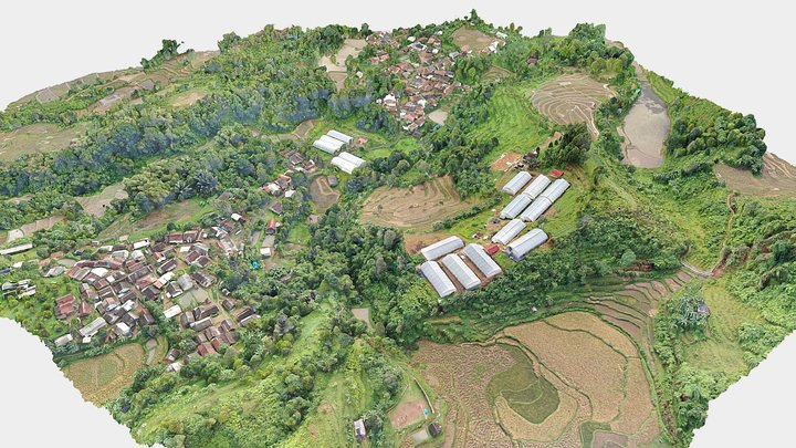3D CIBULUH 2025 3D Model