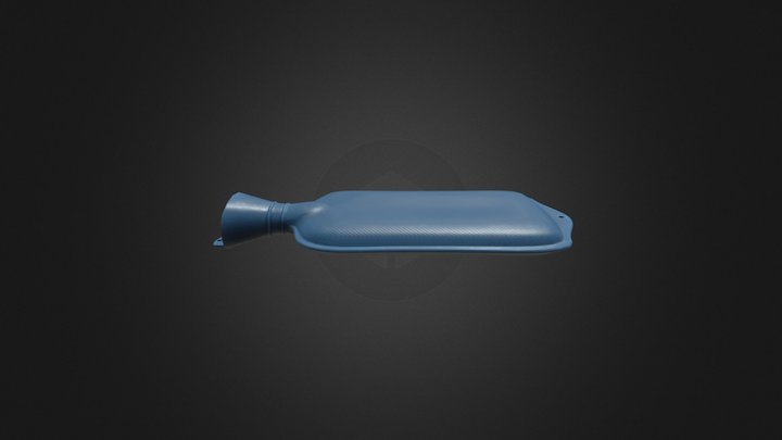 Hot Water Bag 3D Model
